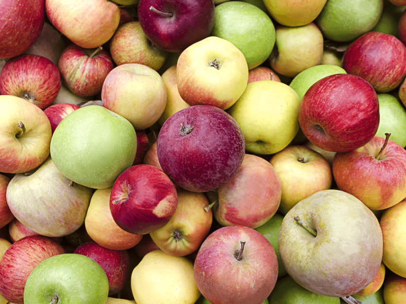 Temperature management apples
